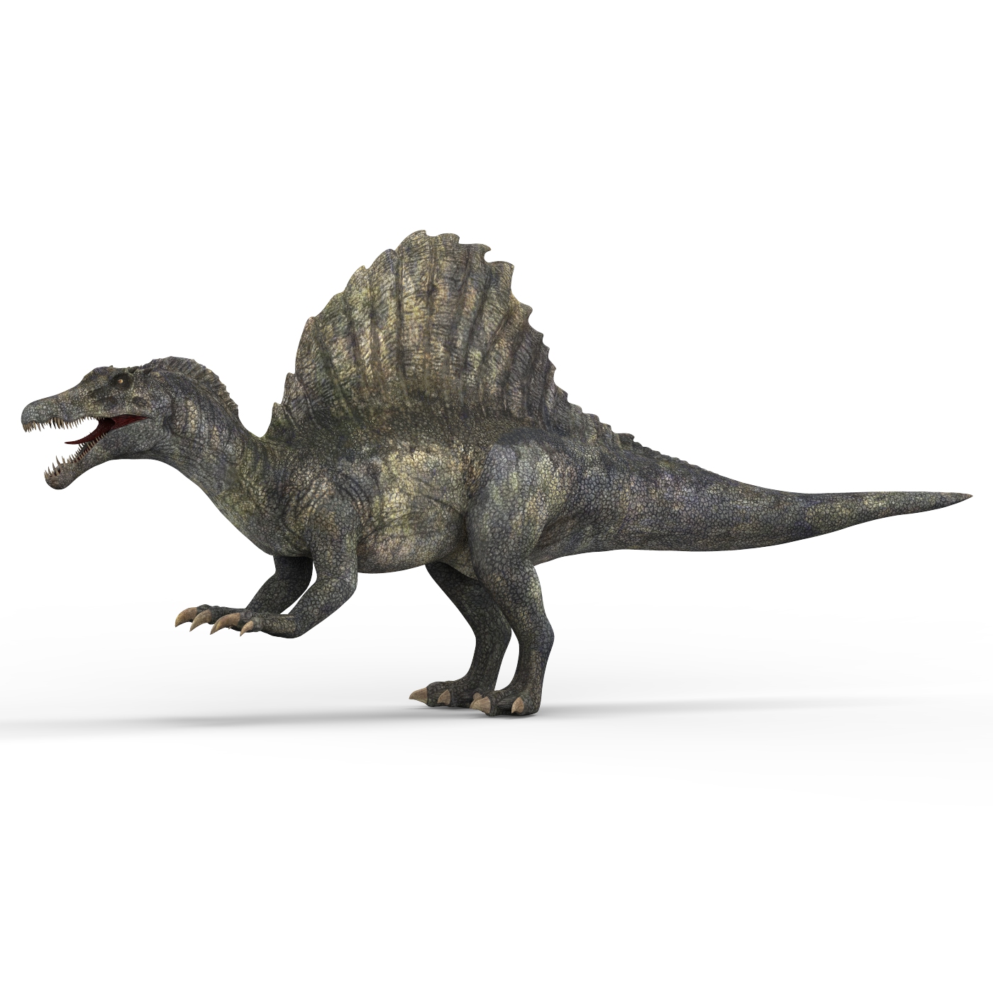 dinosaur similar to spinosaurus